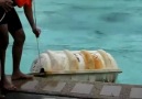 Life-Raft TEST