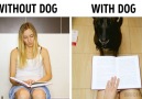 Life with dog vs. without dog