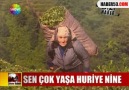 85'lik nene huriye ÇELİK (çayeli şairler deresi)