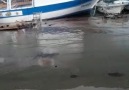 Liman Büfe ENEZ - Enez Limanda Bugün Fırtına ile birlikte...