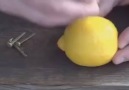 Limondan Elektrik Üretmek