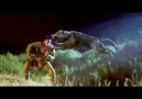 Link full movie Wu Jing team tried to survive from many cruel wolves