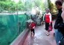Little boy plays with an otter!
