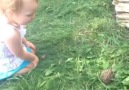 Little girl gets scared of a frog!
