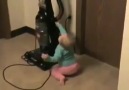 Little kid scared by vacuum