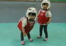 Little TAEKWONDO Kids