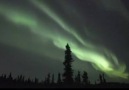 Live stream of the Aurora Borealis