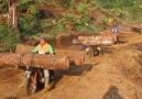 Logging operation