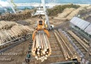 Logs to Lumber - An aerial journey through the sawmillSource CocktailVP.com