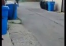 Lol Thug Ass Kid Does A Slick Drive By On A Bicycle!