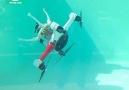 Loon Copter, Underwater Drone.