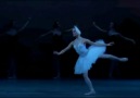 Lopatkina in Le lac des cygnes  (LAST)