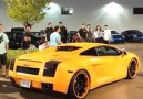 LOUD Lamborghini Gallardo