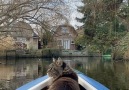 Louiswildlife - I jumped in the boat with joy as always...