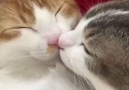 Love and kisses