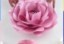 Lovely Paper Flower Credt Pearls Crafts