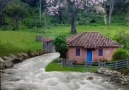 Luciano Bueno - A simplicidade veste bonitas cores nos...