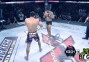 Luis Sapo Santos - Front kick KO