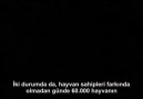 Lütfen gerçekleri görün artık...