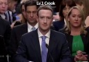 Lv. 99 ZUCC