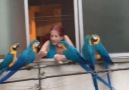Macaw Lover Lady Spending Time with Wild Friends