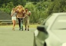 Macklemore & Ryan Lewis - Thrift Shop Feat (Official Video)