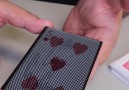 Magic Tricks YOU can do!