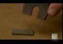 Magnet