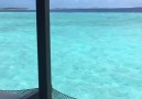 Maguhdhuvaa Island Maldive welcome to paradise!!!