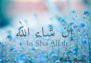 Maher Zain - Insha Allah ( Ruhun Gemisi )