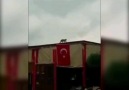 Mahluklar - Rüzgarda toplanan Türk Bayrağını açan kedi...
