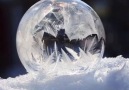 Make Ice Bubbles by Rosemary Danielis AuthorPhotographer