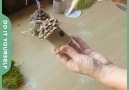 Make It Easy - A birdhouse on a Christmas tree Facebook