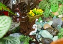 Make your own magical fairy garden