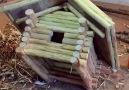 Making log cabin bird house with green roof and basic tools.By Eamon Walsh DIY