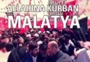 MALATYA BULUNMAZ EŞİN