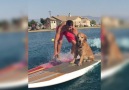 Man And His Best Friend Go Surfing