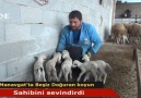 Manavgatta Beşiz Doğuran koyun sahibini sevindirdi