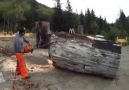 Man Creates Wood Sculpture with Chainsaw