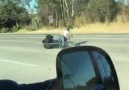 Man falls off motorcycle on freeway due to a Crazy death wobble Credit ViralHog