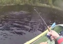 Man Struggles To Reel In Massive Fish