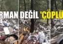 Mansur SAĞIR - Dünya neden bu hale geldi..