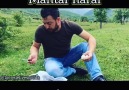 Mantar Muntar yok