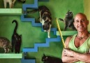 Man Transforms His House into Cat Paradise for His 22 Rescued ...