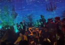 Many thanks to Bedouin for rocking... - Deep Tech Minimal