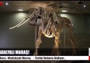 MarasTelevizyonu - By Bars - Madalyalı Maraş (MTV - YENİ KLİP) Facebook
