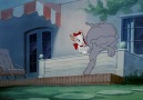Maria Almeida - Tom & Jerry - Solid Serenade (1946) Facebook