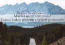 Marifet nedir bilir misin Taşlara bakan gözlerin çiçekleri görmesidir.