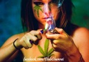 Marijuana Cocaina Eroina Crack [HD]