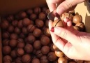 Mari masak bun - Crops of nuts Facebook